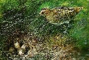 bruno liljefors beckasin oil painting on canvas